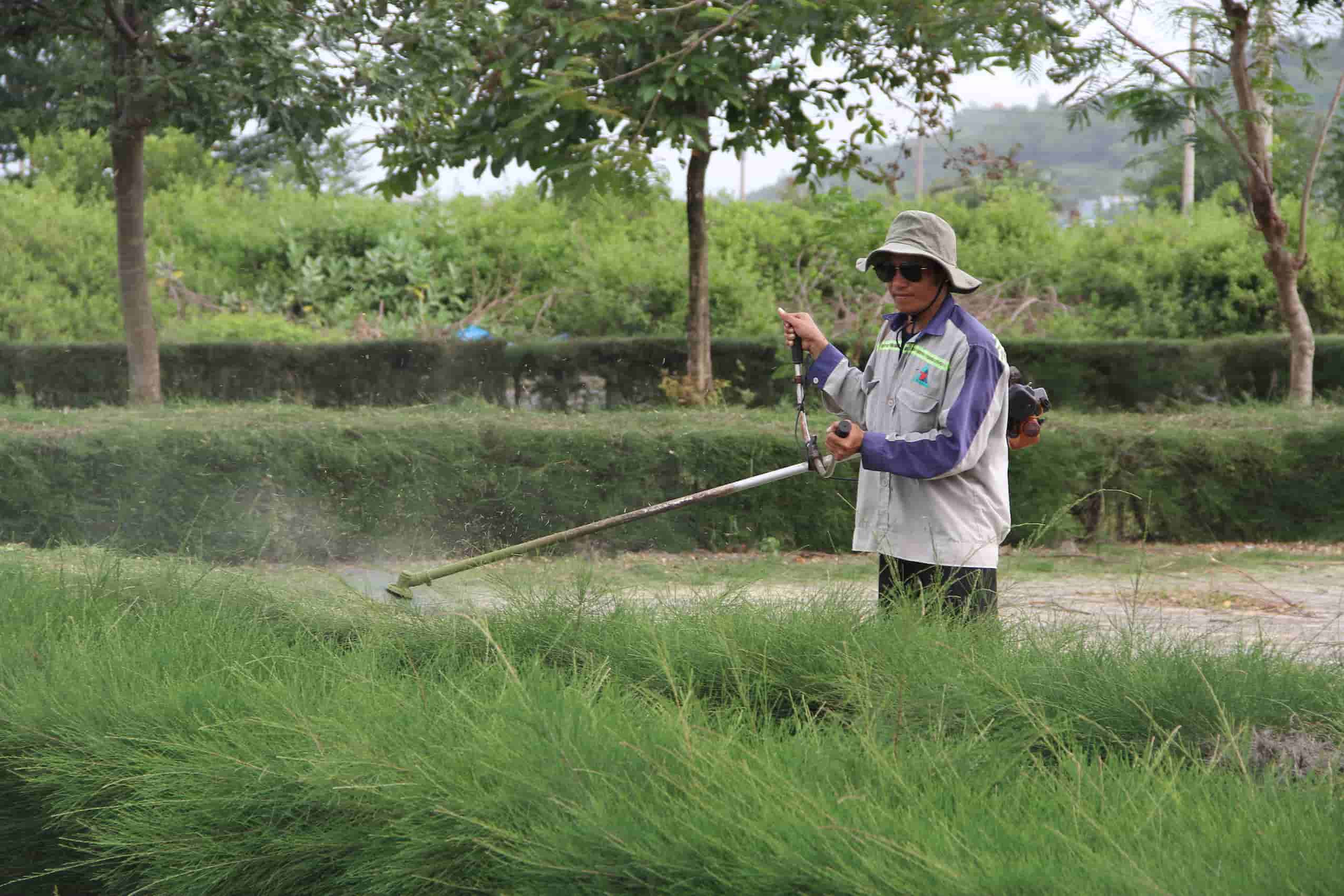 Theo UBND thi xa Ninh Hoa, tu nam 2020 den thang 6/2023, dia phuong nay lan luot nhan ban giao cac hang muc cua truong mau giao Xom Quan tu chu dau tu. Tuy nhien sau do, dia phuong khong du kinh phi duy tri he thong, kinh phi thue bao ve; mot so hang muc cong trinh nhu canh cua, o khoa lau ngay khong su dung bi hu hong, moi mot xuong cap nghiem trong, son tuong bong troc, tran tham dot. Ben canh do, he thong den quat, thiet bi phong chay chua chay… khong su dung nen bi xuong cap, hu hong, mat cap.