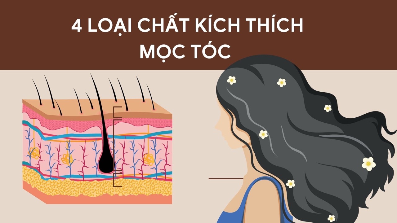 Protein is an important nutrient that helps keep hair strong and healthy. Photo: HUONG SON