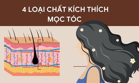 Protein là một dưỡng chất quan trọng giúp tóc chắc khoẻ. Ảnh ghép: HƯƠNG SƠN