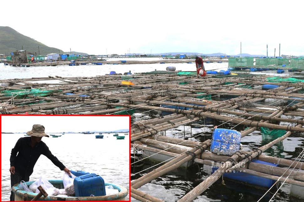 People in aquaculture areas in Song Cau town (Phu Yen) collect and bring garbage to shore to reduce environmental pollution. Photo: Hoai Luan