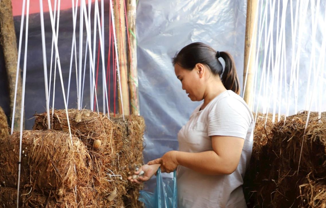 Tinh Dak Nong chu trong day nghe, gop phan xoa doi, giam ngheo. Anh: Thanh Nga