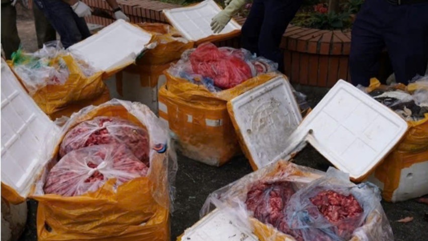 The foul-smelling internal organs were discovered when checking a passenger bus on Highway 6. Photo: Hoa Binh Police