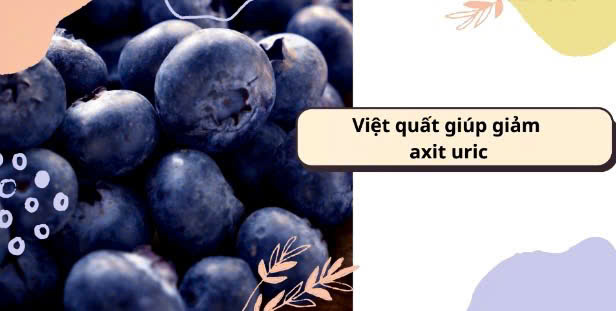 How to eat blueberries to reduce uric acid. Graphics: Huong Giang