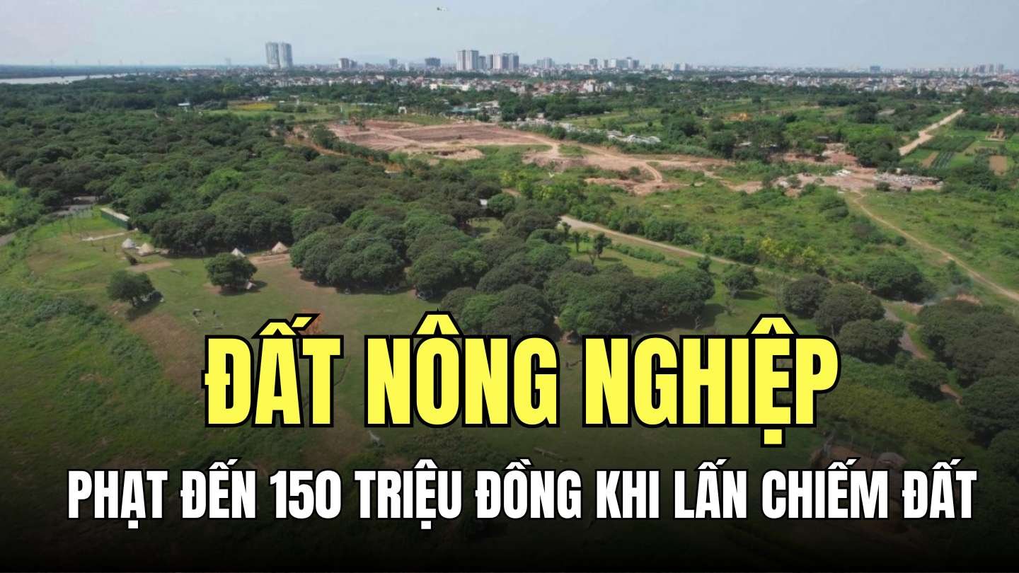 Hành vi lấn, chiếm đất nông nghiệp có thể bị phạt tiền từ 3.000.000 đồng đến 150.000.000 đồng theo quy định. Đồ họa: Minh Thương
