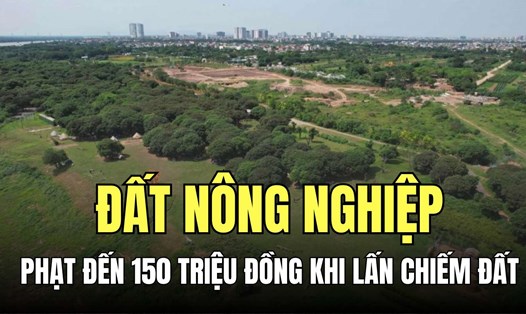 Hành vi lấn, chiếm đất nông nghiệp có thể bị phạt tiền từ 3.000.000 đồng đến 150.000.000 đồng theo quy định. Đồ họa: Minh Thương