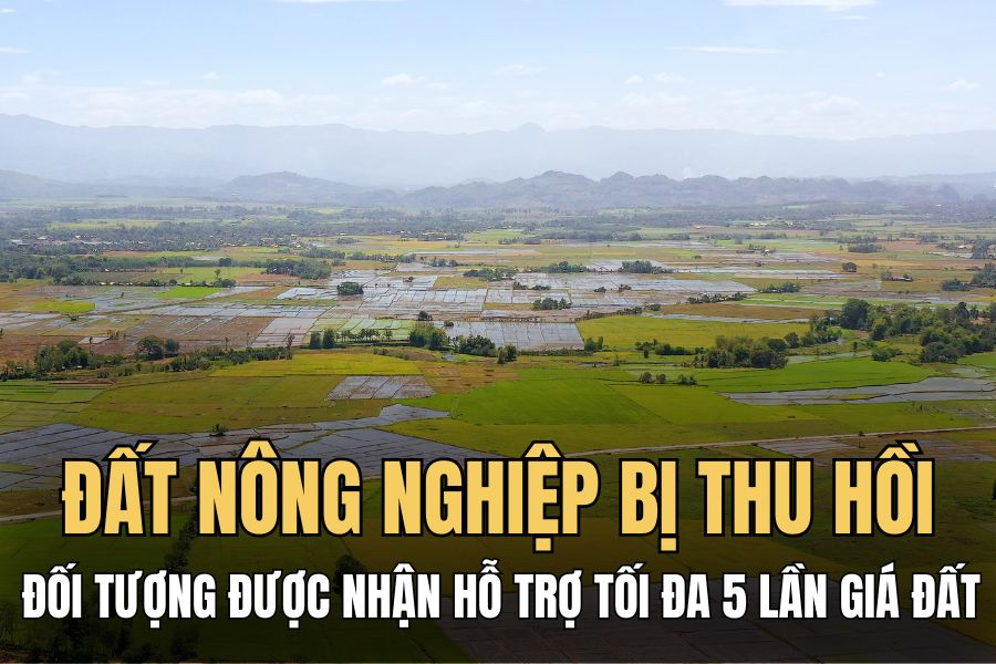 Người hưởng lương hưu không thuộc đối tượng được hỗ trợ bằng tiền không quá 5 lần giá đất nông nghiệp. Đồ họa: Hoài Lan