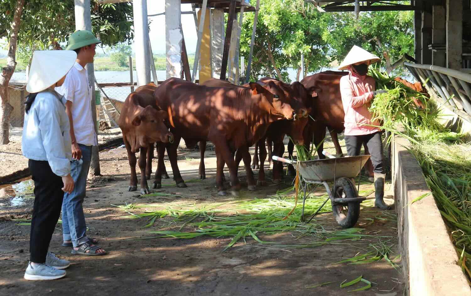 People's circular economy helps reduce greenhouse gas emissions. Photo: H. Huyen