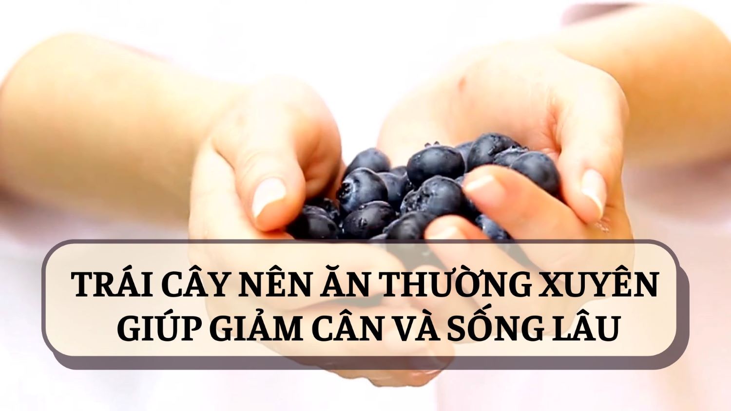 Blueberries help you lose weight and live longer. Graphics: Thanh Thanh