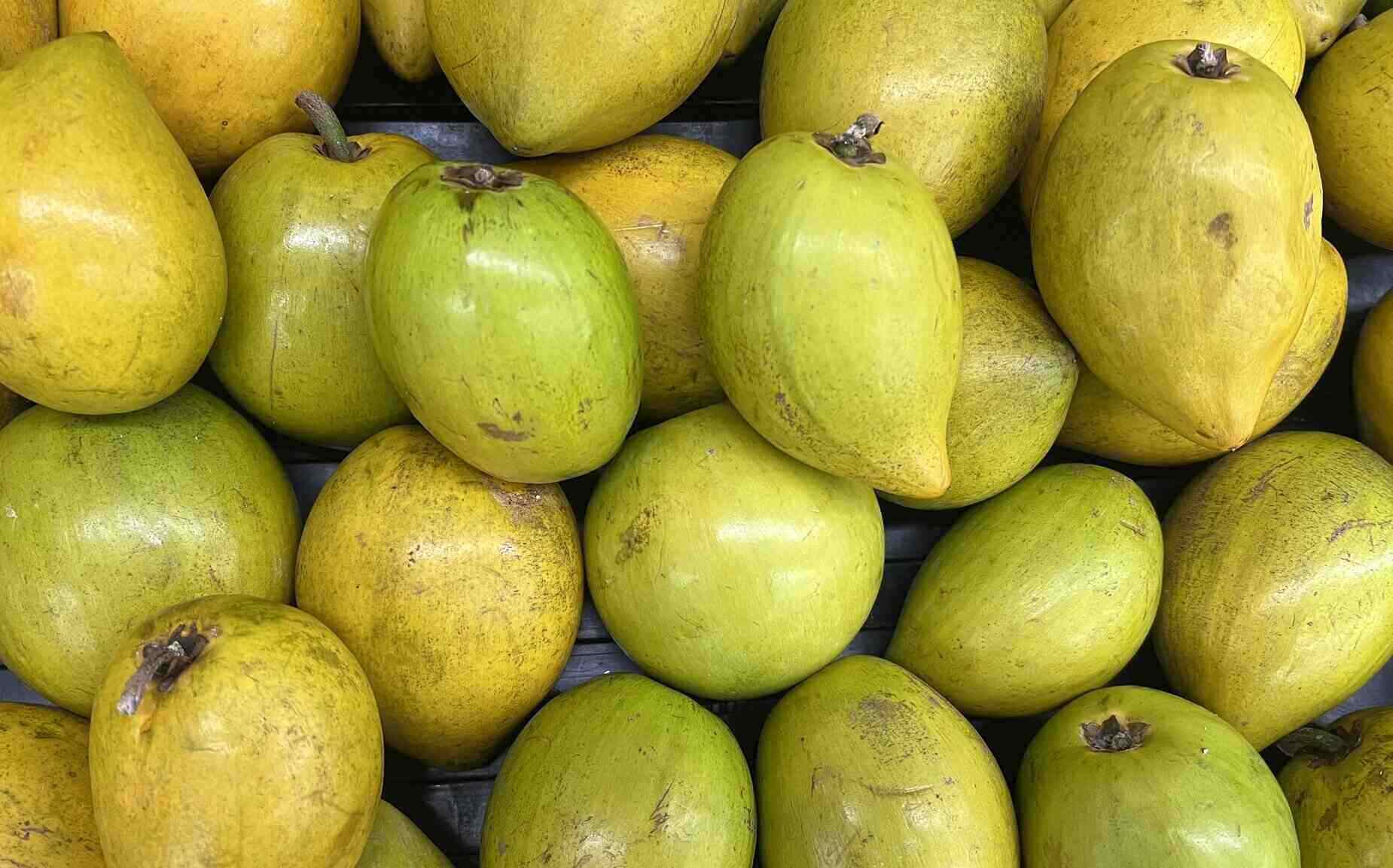 The fruit, which is sometimes called the egg fruit, has the ability to help control blood sugar. Photo: Kieu Vu