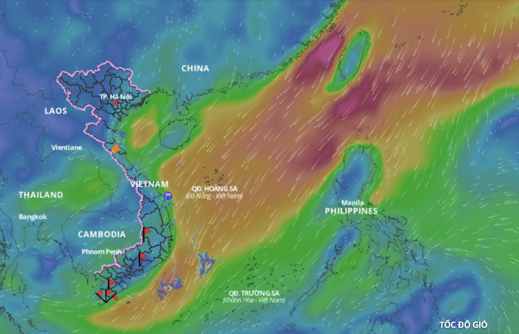 Cold air is forecast to continue causing bad weather in the Gulf of Tonkin, North East Sea. Above is the image of the wind direction layer over the sea updated at 10:00 on December 8. Photo: Vietnam Natural Disaster Monitoring System