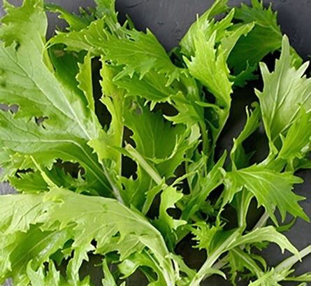 Mustard greens can add omega-3 to your diet. Photo: Kieu Vu