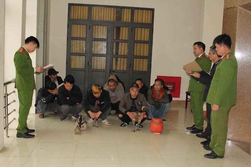 Cơ quan Công an lấy lời khai các đối tượng đánh bạc dưới hình thức đá gà. Ảnh: Công an tỉnh Hà Nam 