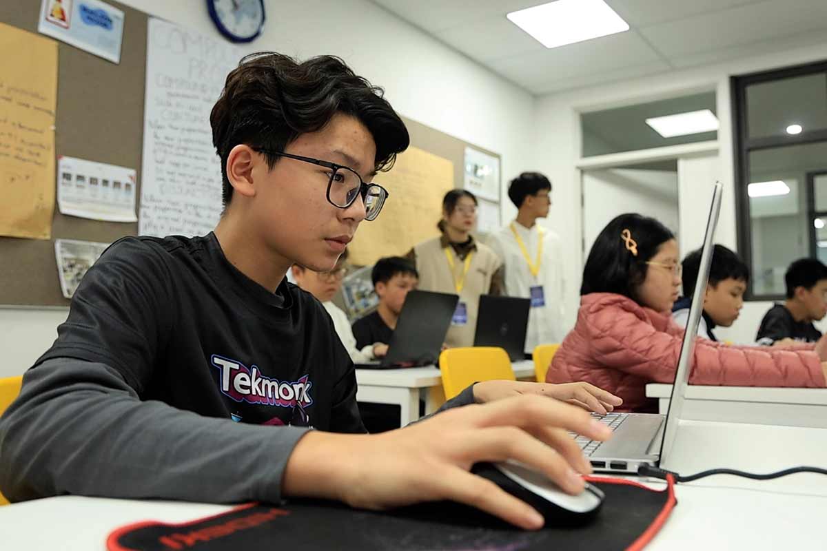 Information technology programming