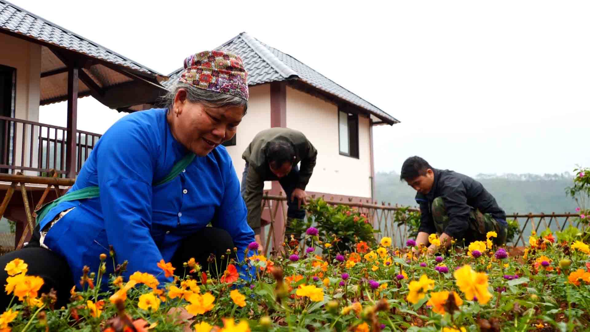 The first vegetable gardens at the Lang Nu resettlement area