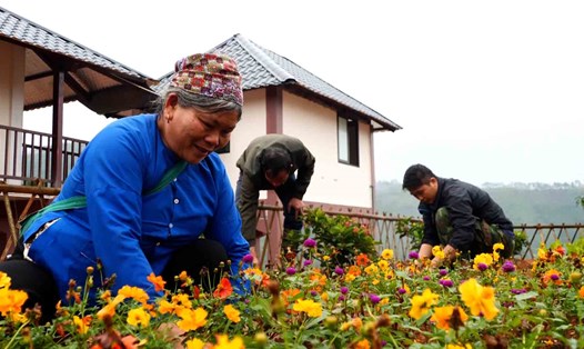 Những vườn rau đầu tiên tại khu tái định cư Làng Nủ