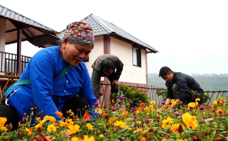 The first vegetable gardens at the Lang Nu resettlement area