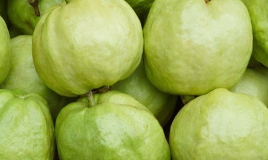 Quả ổi được biết đến với khả năng hạ đường huyết một cách tự nhiên. Ảnh: Kiều Vũ.