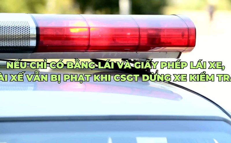 Habit of carrying only driver's license and registration, driver will be fined if checked