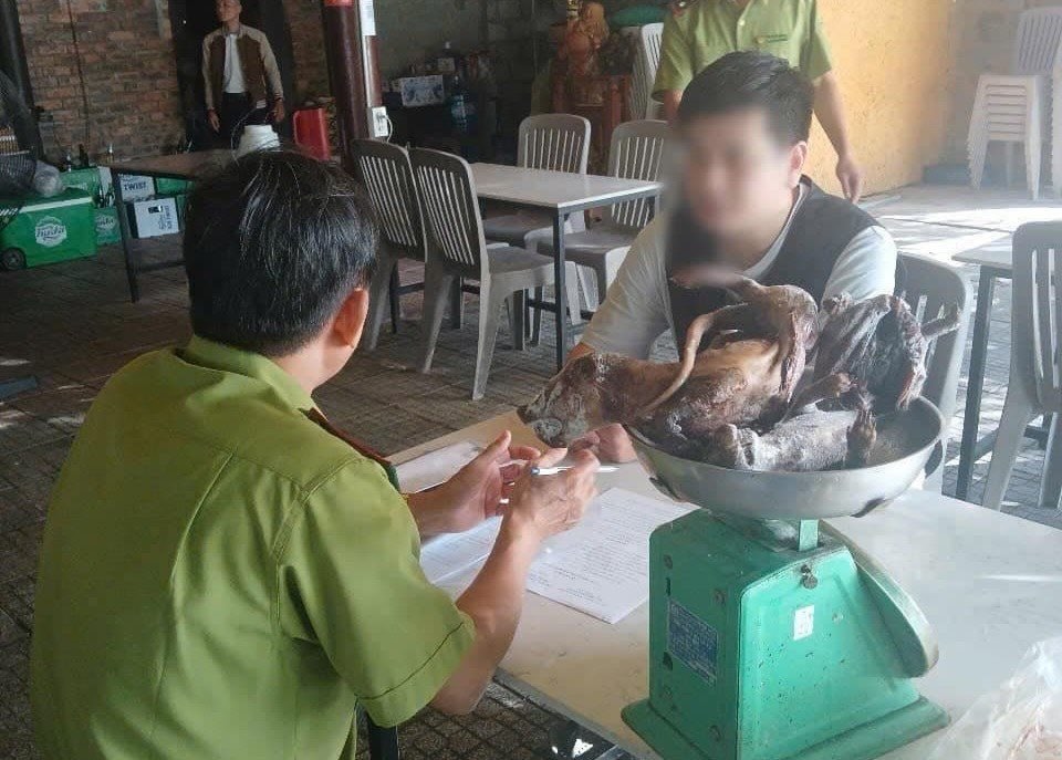 Authorities work with restaurant representatives trading in wildlife. Photo: Provided by Forest Rangers.