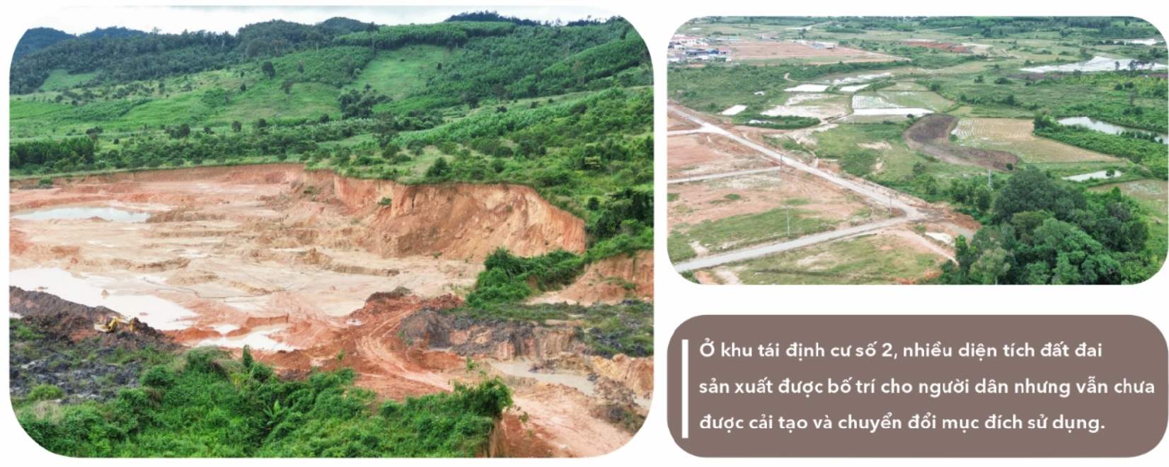 Production land in resettlement area No. 2. Photo: Bao Trung