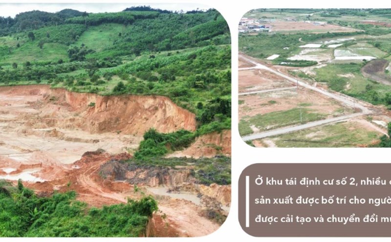 Production land in resettlement area No. 2. Photo: Bao Trung