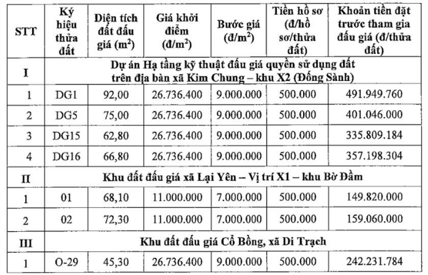 7 thua dat len san dau gia ngay 9.12.2024. Anh chup man hinh