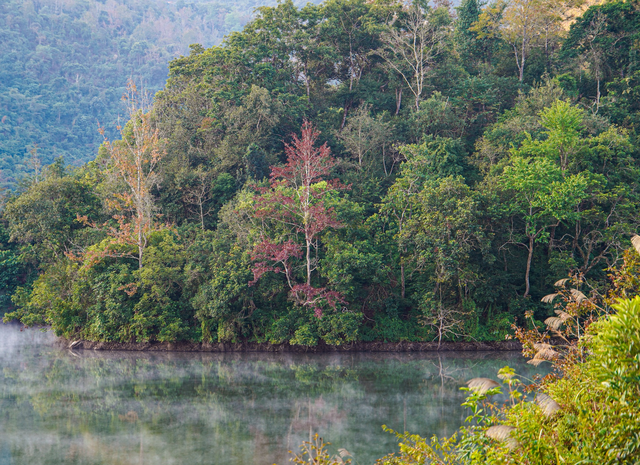 “Thay vi di vao giua ngay thi sang som 5h30 minh da xuat phat tu homestay len ho de don binh minh. Canh tuong hoi nuoc bay ta ta tren mat ho, o ben tren la 1, 2 cay phong bat dau doi mau vang do tao nen 1 khung canh rat me hoac“, anh Tuan chia se.