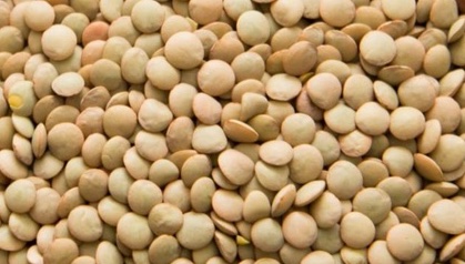 Lentils are a food that can control blood sugar levels. Photo: Phong Chau