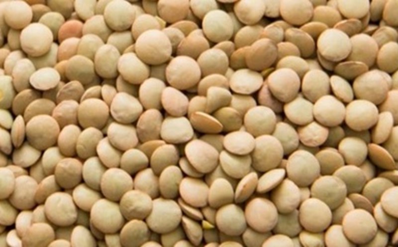 Lentils are a food that can control blood sugar levels. Photo: Phong Chau