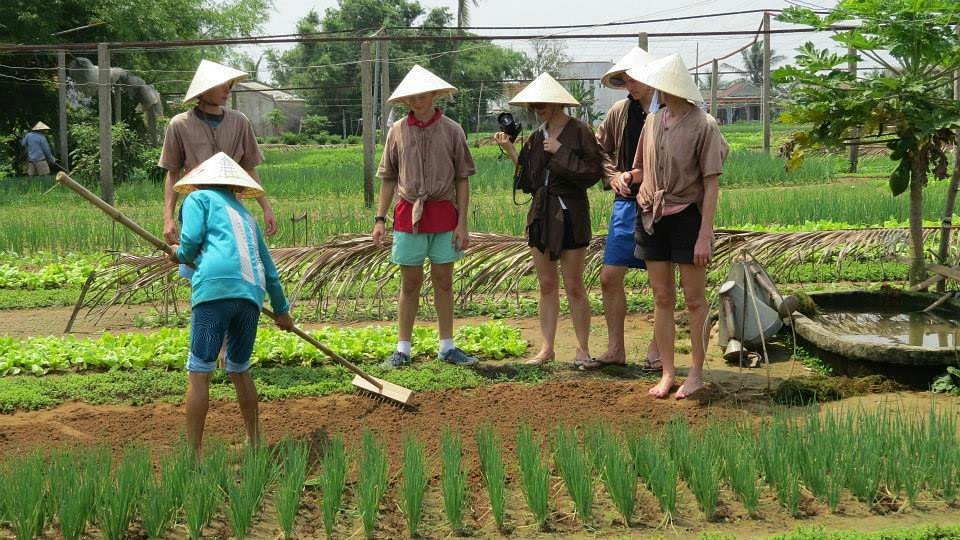 Khách quốc tế trải nghiệm du lịch nông thôn trong tour một ngày làm nông dân tại làng rau Trà Quế, Hội An, Quảng Nam. Ảnh: Tripadvisor