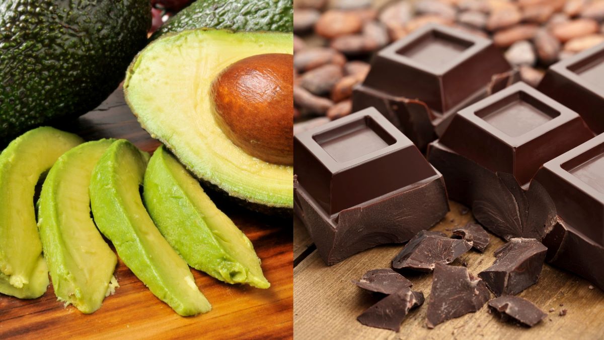 Adding dark chocolate and avocado to your diet is good for your brain and overall health. Graphics: Thanh Thanh