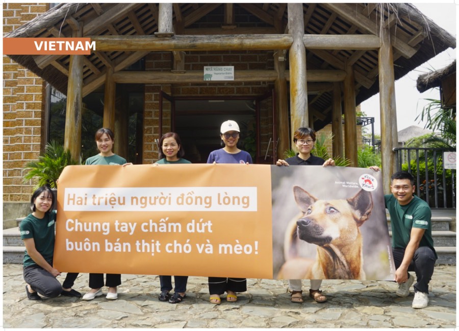 Dog and cat trading and slaughter have a negative impact on Vietnam's tourism image. Photo: Four Paws