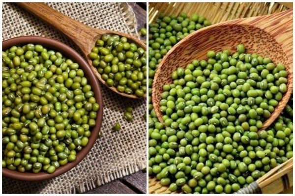 Your body will receive many health benefits if you make a habit of eating soaked mung beans every day. Graphics: Thanh Ngoc.