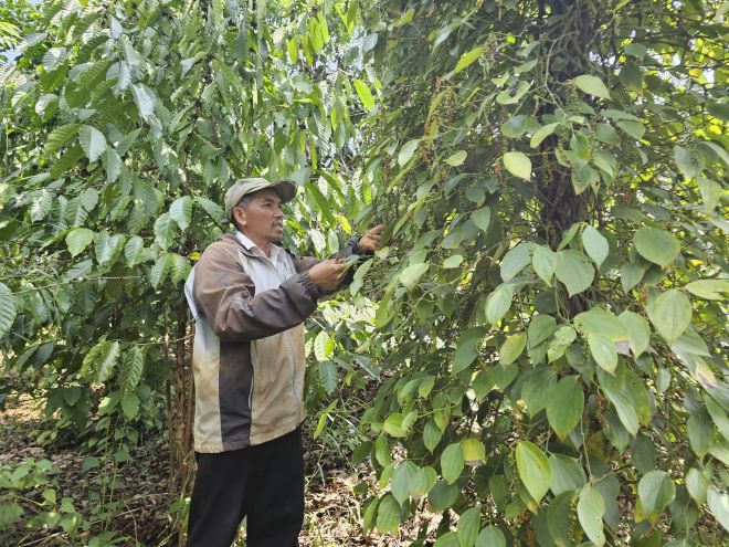 Dak Nong strives to move many communes and villages out of extremely difficult areas. Photo: Bao Lam