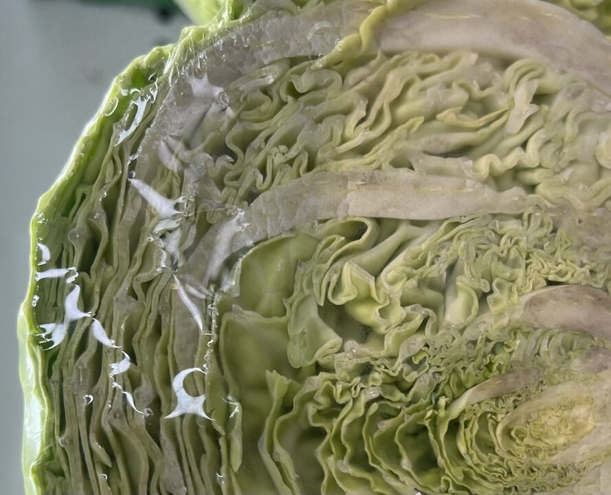 People with kidney disease should consider adding this vegetable to their diet. Photo: Kieu Vu