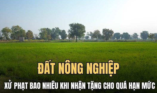 Nguy cơ bị phạt đến 50 triệu đồng khi nhận tặng cho đất nông nghiệp vượt hạn mức. Đồ hoạ: Hải Ly