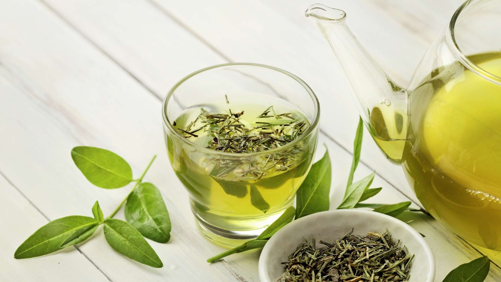 Green tea reduces the risk of osteoporosis in the elderly