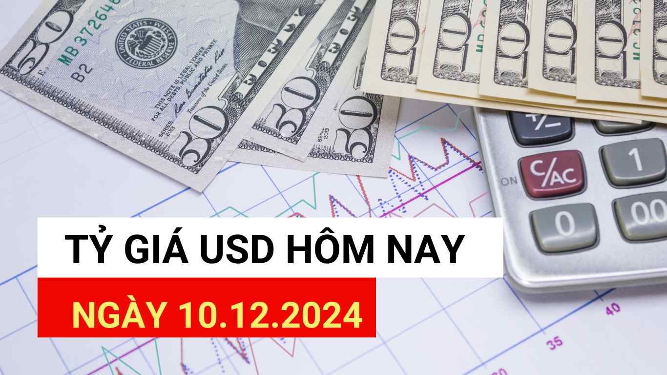 USD exchange rate today 10.12.2024.