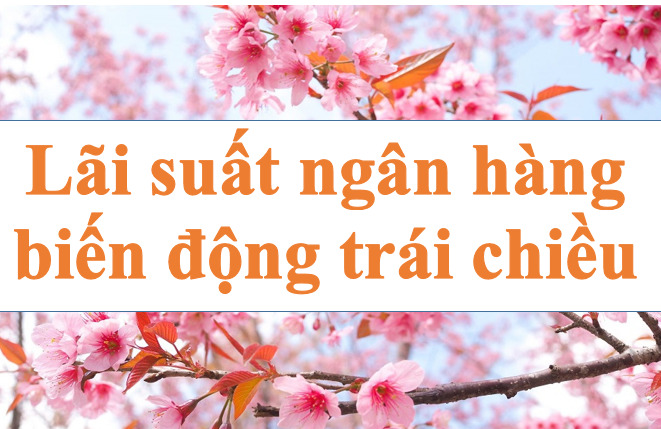 Bank interest rates increase and decrease in opposite directions. Illustration photo: Ha Vy