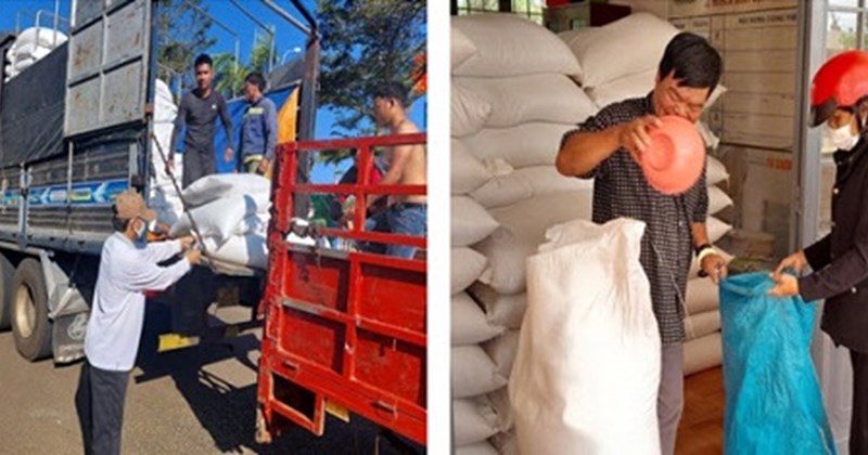 Một Cục Dự trữ mời 8 gói thầu mua gạo thì 1 gói bị hủy, 6 gói bị nhà thầu “bỏ chạy”