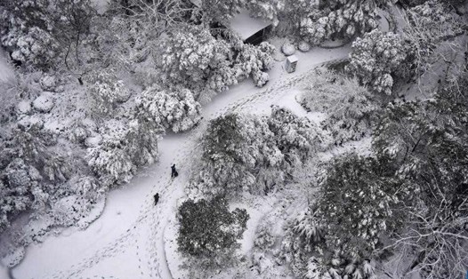 Người dân đi bộ trong tuyết ở Trường Sa, tỉnh Hồ Nam, miền trung Trung Quốc, ngày 22.1.2024. Ảnh: Xinhua