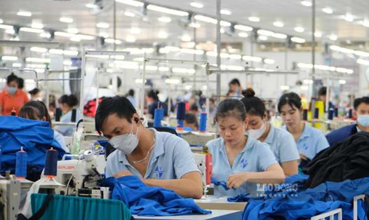 Công nhân Công ty TNHH May xuất nhập khẩu Đức Thành (An Giang) tất bật sản xuất trước ngày nghỉ Tết. Ảnh: Phong Linh