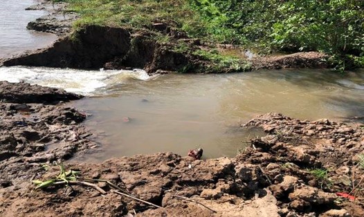 Sạt lở nghiêm trọng tại Vĩnh Long, nước ngập khoảng 17ha cây ăn trái của người dân. Ảnh: Hoàng Lộc