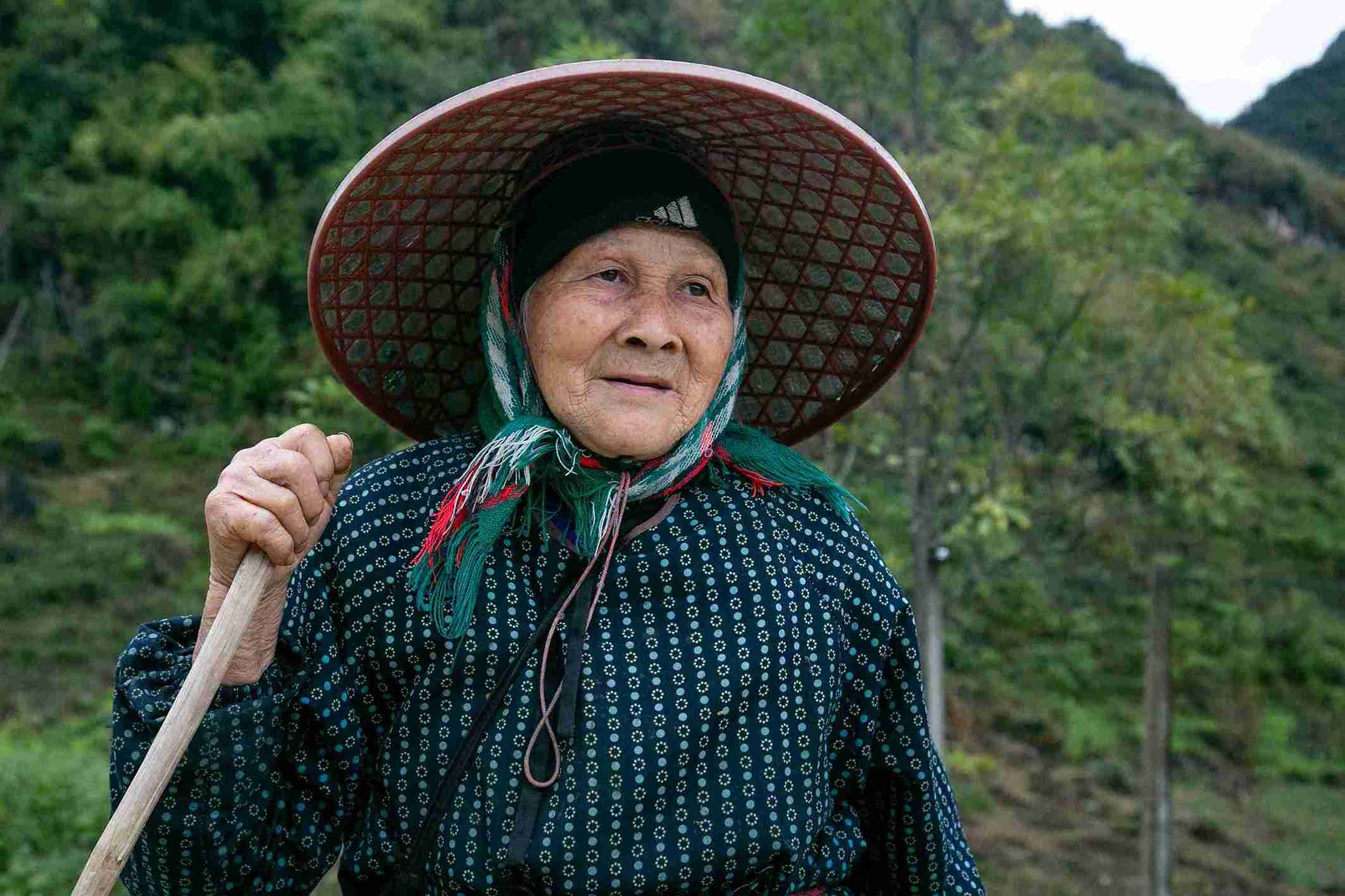 Chăn nuôi cũng chật vật vì khô hạn, bà Nông Thị Kiềm (xã Thượng Thôn) chia sẻ: “Năm mới ở đây cũng gần như ngày thường, mọi người phải tranh thủ để làm đất trên nương, kịp gieo hạt khi đất còn ẩm“.