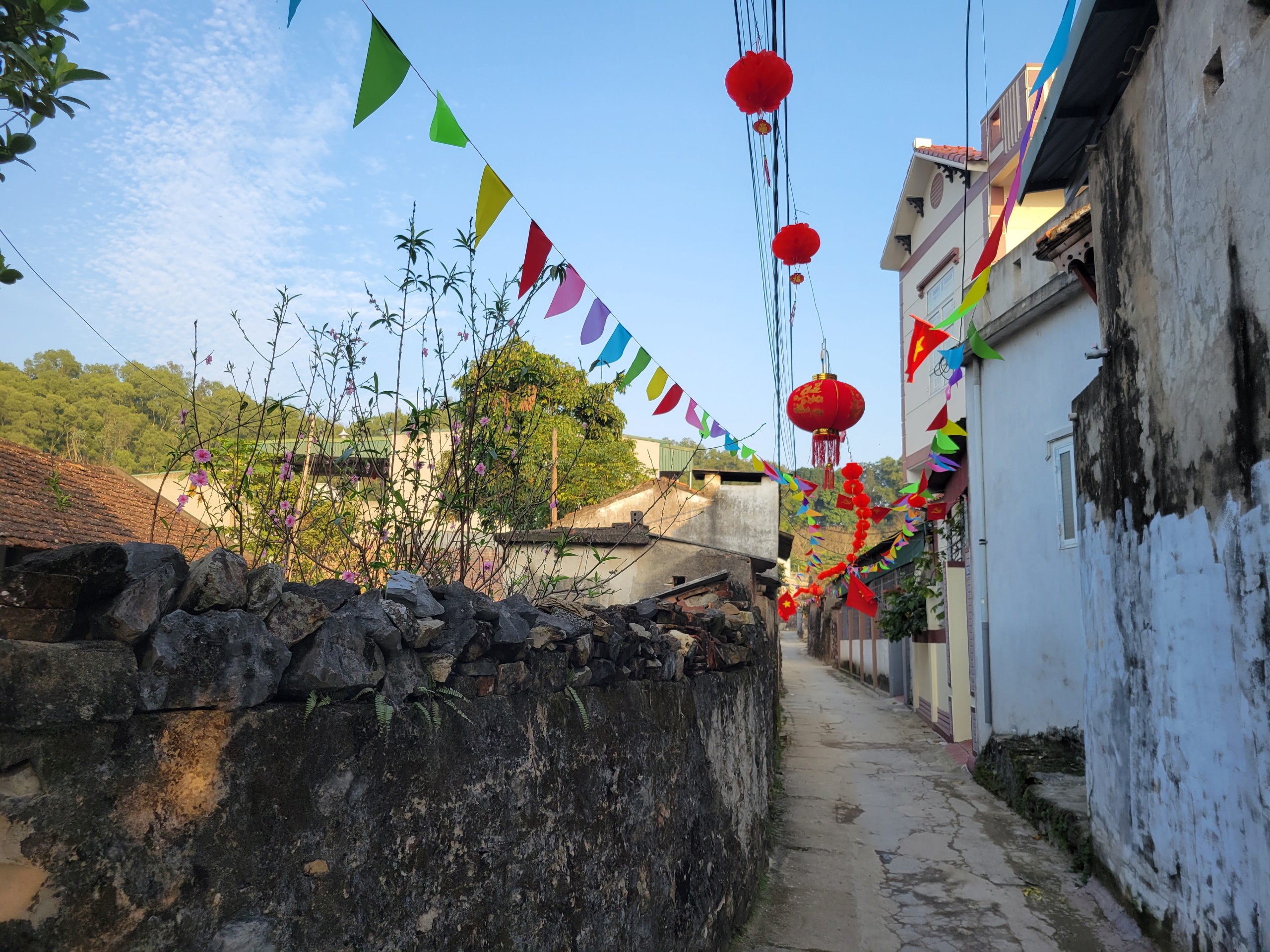 Cách trung tâm thành phố Thanh Hóa chỉ 3km là ngôi làng cổ Đông Sơn, gắn liền với nền văn hóa Đông Sơn nổi tiếng. Trải qua những thăng trầm của lịch sử, sự tàn phá của chiến tranh và thời gian nhưng làng cổ Đông Sơn vẫn cơ bản giữ gìn được các giá trị văn hóa đặc trưng của làng quê Bắc Trung Bộ.