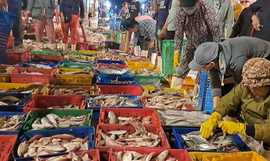 Giá hải sản ở Đà Nẵng tăng nhẹ sau Tết. Ảnh: Nguyễn Linh