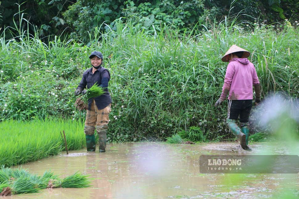 Tuy công việc bộn bề nhưng nụ cười vẫn nở trên môi.