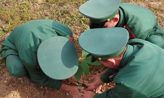 Bộ đội Biên phòng tỉnh Lai Châu và các đơn vị cơ sở ở biên giới đã trồng mới hơn 2.000 cây xanh ngay sau khi phát động Tết trồng cây. Ảnh: Đức Duẩn