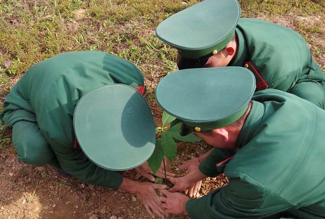 Lai Châu trồng mới hơn 2.000 cây xanh ngay sau khi phát động Tết trồng cây