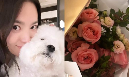 Song Hye Kyo khoe bó hoa hồng trong ngày Valentine. Ảnh: Instagram